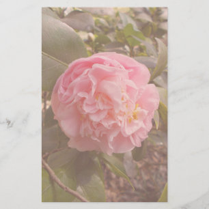 Roze Bloem Briefpapier