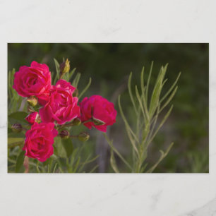 Roze Bloem Briefpapier