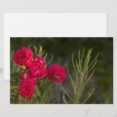 Roze Bloem Briefpapier (Voorkant / Achterkant)