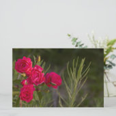 Roze Bloem Briefpapier (Staand voorkant)