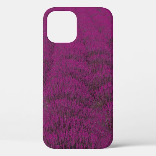 Roze bloem Case-Mate iPhone case (Achterkant)