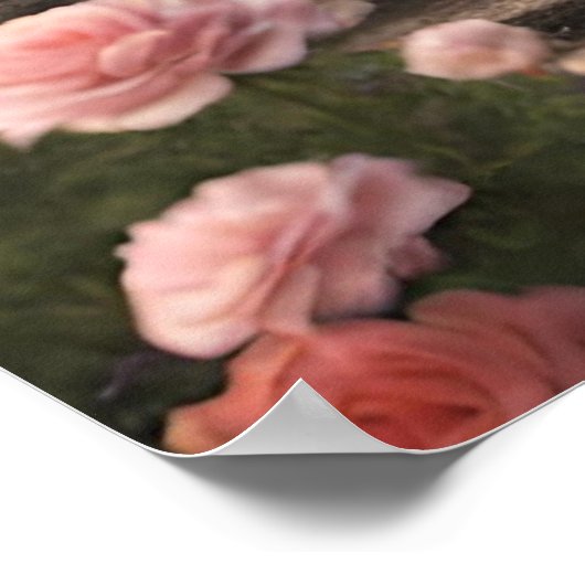 Roze Bloem Cottage Poster (Hoek)