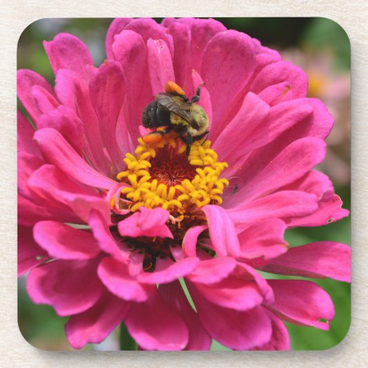 Roze bloem en hommel drankjes onderzetter (Voorkant)