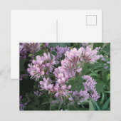 Roze bloem foto aankondigingskaart (Voorkant / Achterkant)