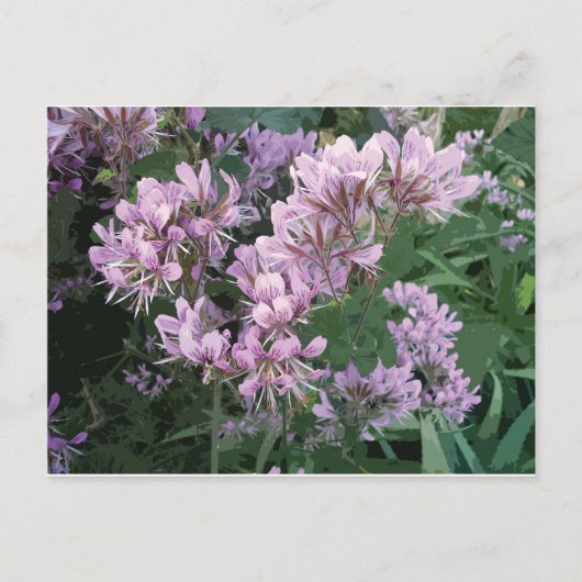 Roze bloem foto aankondigingskaart (Voorkant)