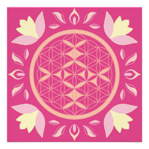 roze bloem foto afdruk