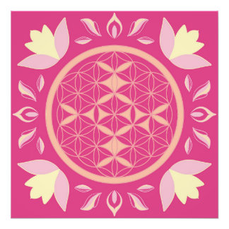 roze bloem foto afdruk