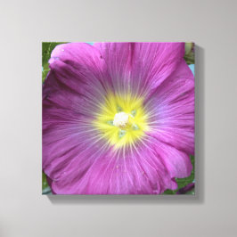 Roze Bloem Foto Enige Reproductie Canvas Afdruk