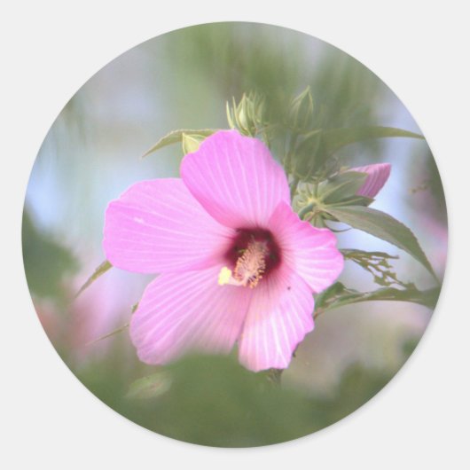 Roze bloem Foto-Stickers Ronde Sticker (Voorkant)