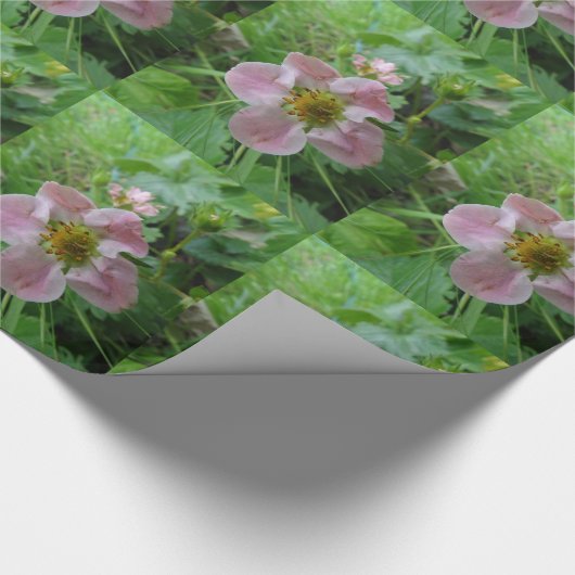 Roze Bloem Foto Verpakkende Document Cadeaupapier (Hoek)