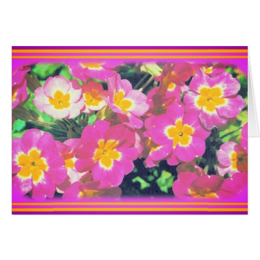 Roze Bloem Fotokaart (Voorkant Horizontaal)