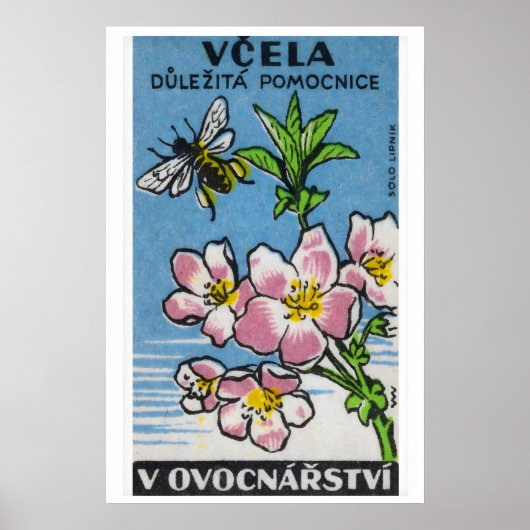 Roze Bloem Gele Bij - Matchbox Print - Tsjechisch (Voorkant)