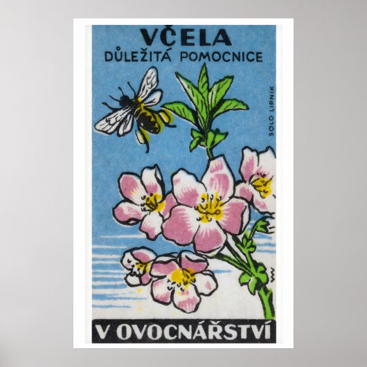 Roze Bloem Gele Bij - Matchbox Print - Tsjechisch (Voorkant)
