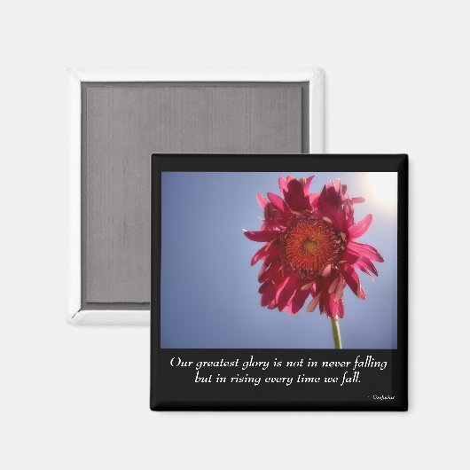 Roze Bloem Glory Magnet (Voorkant / Achterkant)