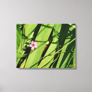 Roze bloem Groen Botanische fotografie Grafisch Canvas Afdruk
