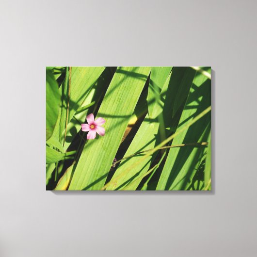 Roze bloem Groen Botanische fotografie Grafisch Canvas Afdruk (Voorkant)