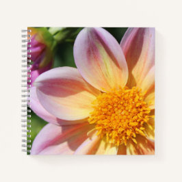 Roze bloem, helder geel centrum - macrofoto notitieboek