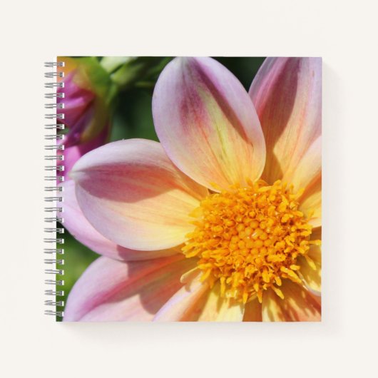 Roze bloem, helder geel centrum - macrofoto notitieboek (Voorkant)
