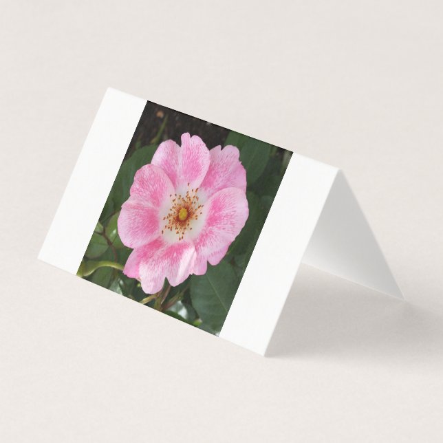 roze bloem in de schaduw kaart (Voorkant)