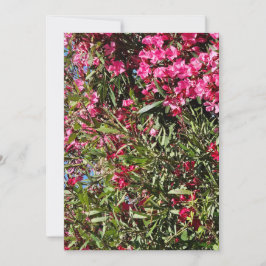 Roze bloem kaart