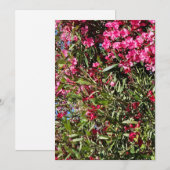 Roze bloem kaart (Voorkant / Achterkant)