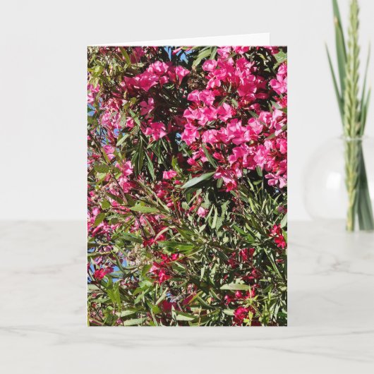 Roze bloem kaart (Voorkant)