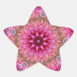 Roze Bloem Kaleidoscoop Mandala-43895 Ster Sticker