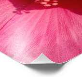 Roze Bloem Kodak Professioneel Fotopapier (Satijn) Foto Afdruk (Hoek)