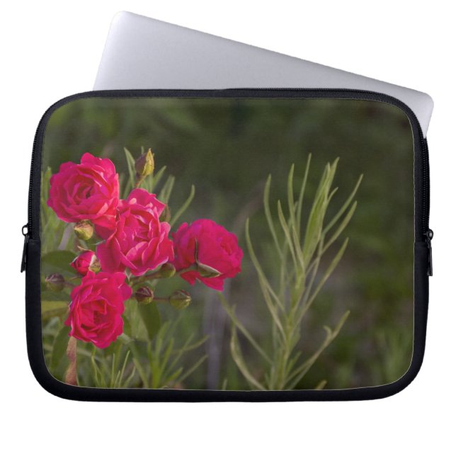 Roze Bloem Laptop Sleeve (Voorkant)
