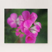 Roze bloem macro legpuzzel (Horizontaal)