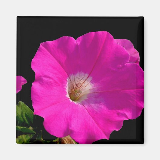 roze bloem magneet (Voorkant)