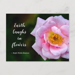 Roze Bloem met Dauw druppels Natuurfoto Briefkaart