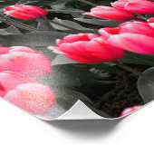 Roze Bloem Minimalistische Selectieve Kleur Foto Afdruk (Hoek)