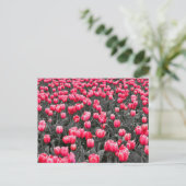 Roze Bloem Minimalistische Selectieve Kleur Fotoku Briefkaart (Staand voorkant)
