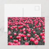 Roze Bloem Minimalistische Selectieve Kleur Fotoku Briefkaart (Voorkant / Achterkant)