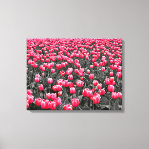 Roze Bloem Minimalistische Selectieve Kleur Fotoku Canvas Afdruk