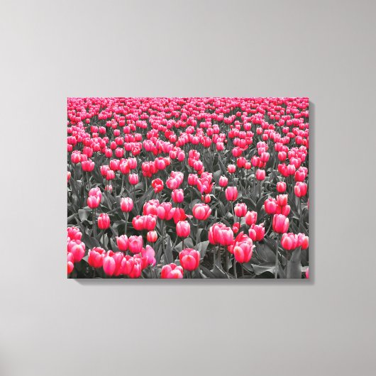 Roze Bloem Minimalistische Selectieve Kleur Fotoku Canvas Afdruk (Voorkant)