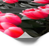 Roze Bloem Minimalistische Selectieve Kleur Fotoku Poster (Hoek)