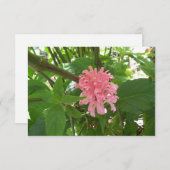 roze bloem op dankjewel bedankkaart (Voorkant / Achterkant)