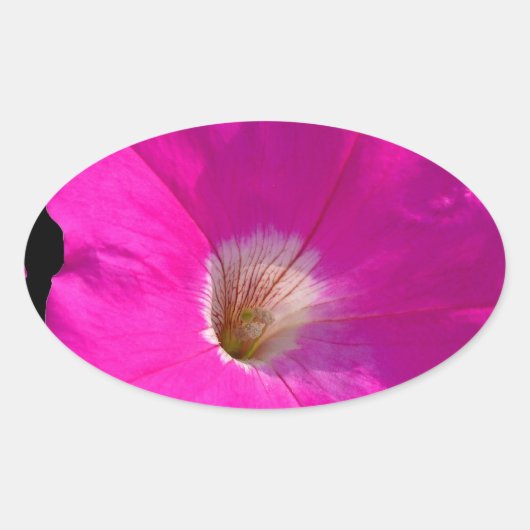 roze bloem ovale sticker (Voorkant)