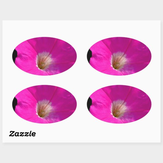 roze bloem ovale sticker (Vel)