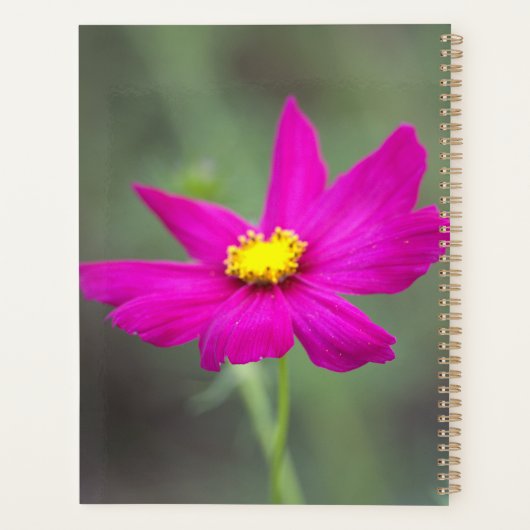Roze Bloem Planner (Achterkant)