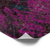 Roze bloem poster (Hoek)