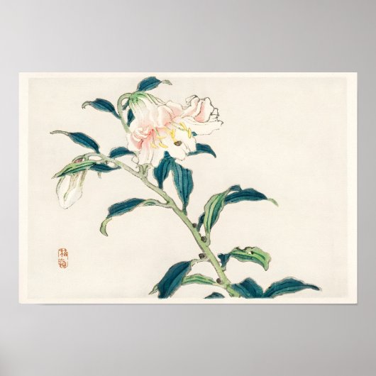Roze Bloem Poster (Voorkant)