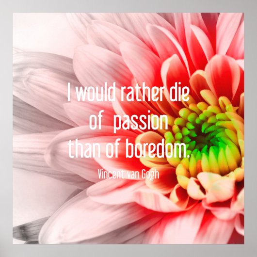 Roze bloem Poster prijsopgave (Voorkant)