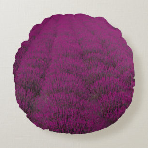 Roze bloem rond kussen