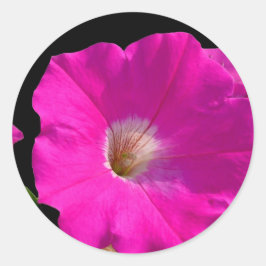 roze bloem ronde sticker