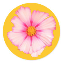 Roze bloem