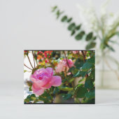 Roze bloem Roos Briefkaart (Staand voorkant)