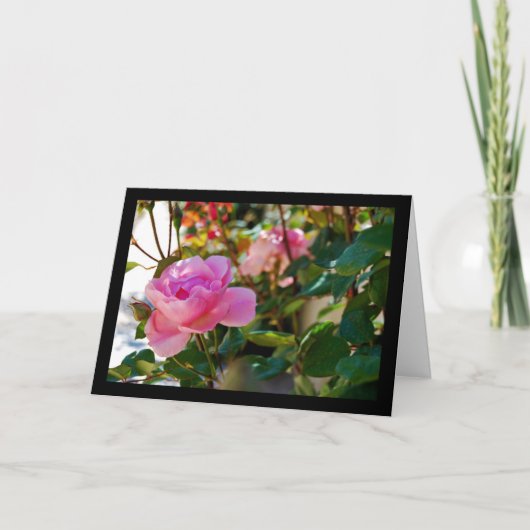 Roze bloem Roos Kaart (Voorkant)
